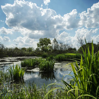 Parco del Serio:  a giugno tornano i Campi Natura Estivi