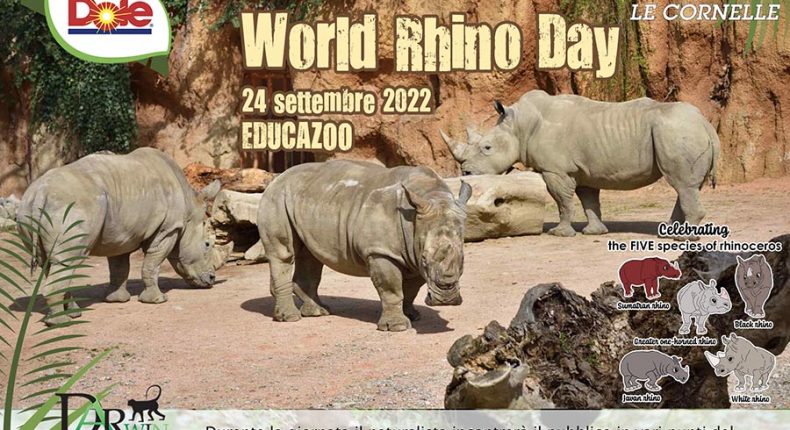 World Rhino Day