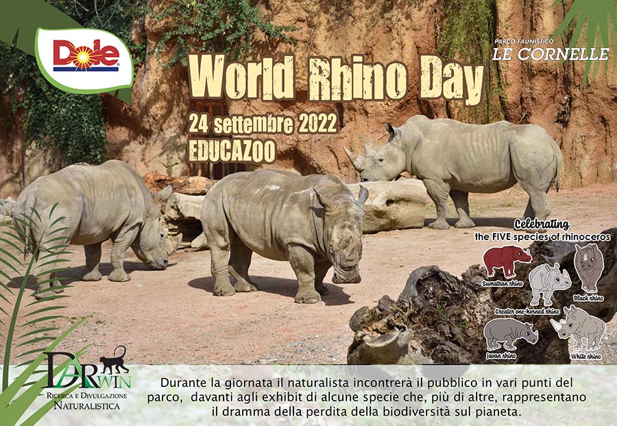 World Rhino Day