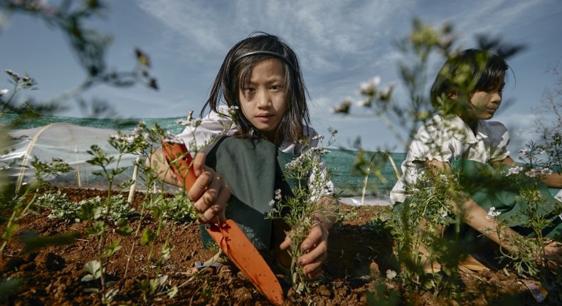 Myanmar a Bergamo con la mostra ‘Semi di speranza’ su emergenza climatica