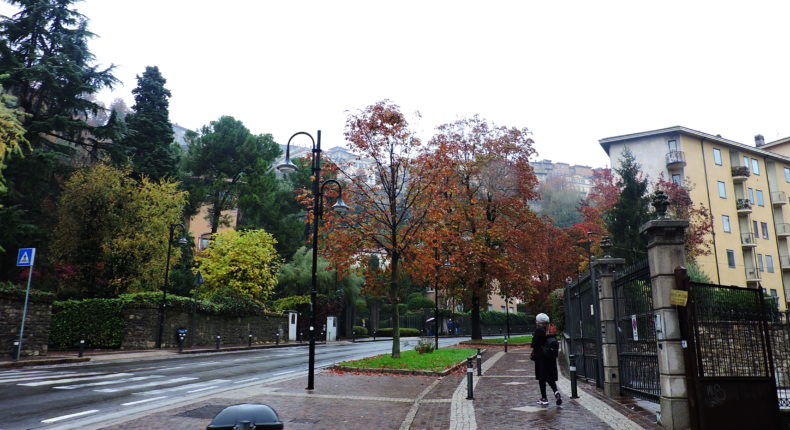 Lavori notturni per riasfaltare Viale Vittorio Emanuele