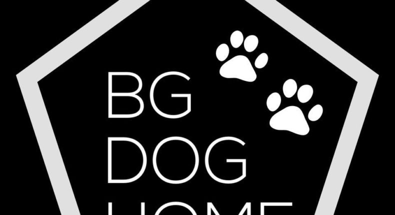 BG Dog Home