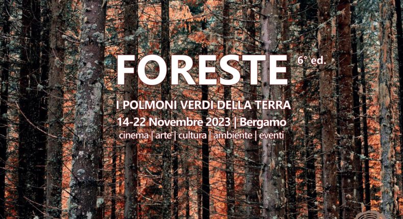 6° Foreste – I polmoni verdi della terra