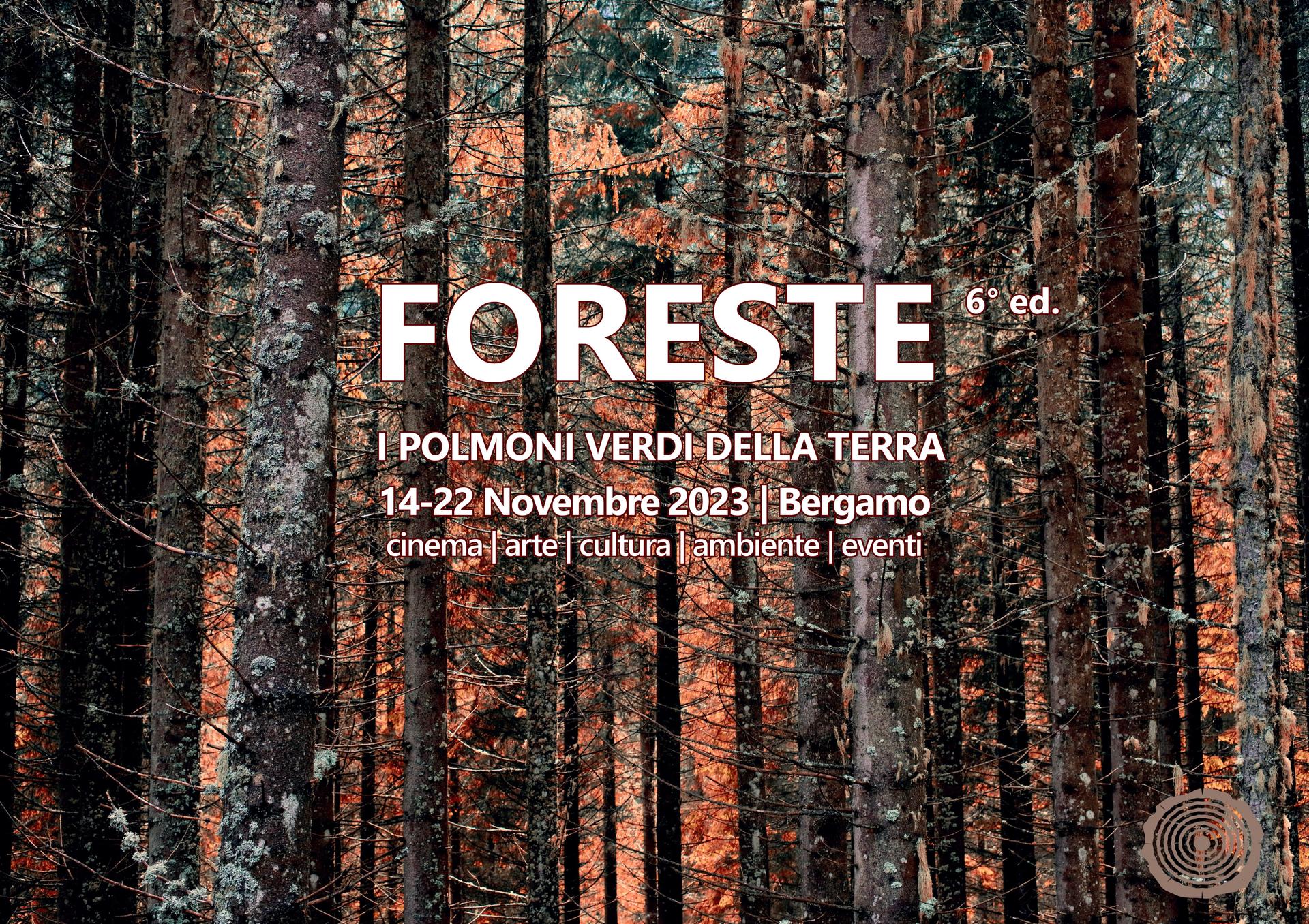 6° Foreste – I polmoni verdi della terra