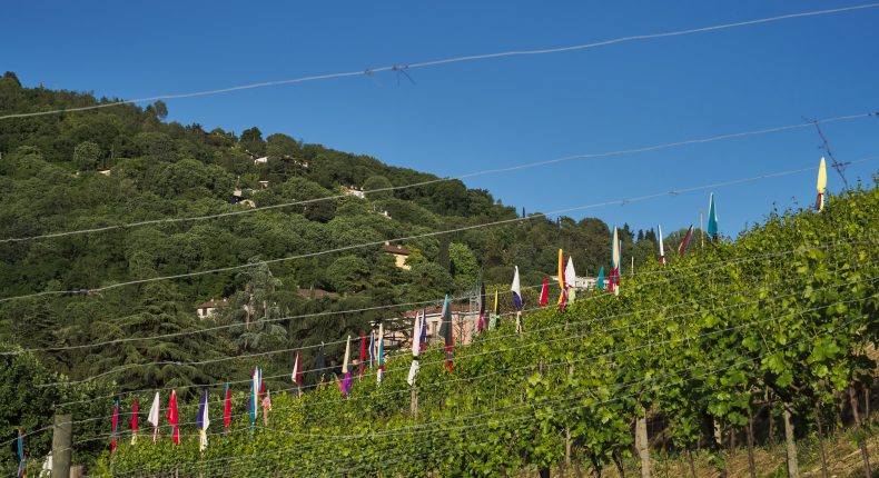 Dal 21 giugno nel Vigneto Pusterla la landart La Plage di Tayou