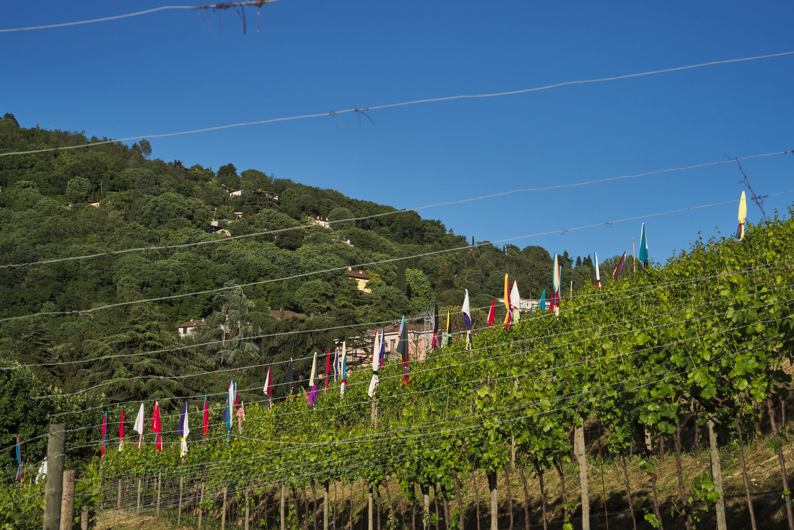 Dal 21 giugno nel Vigneto Pusterla la landart La Plage di Tayou