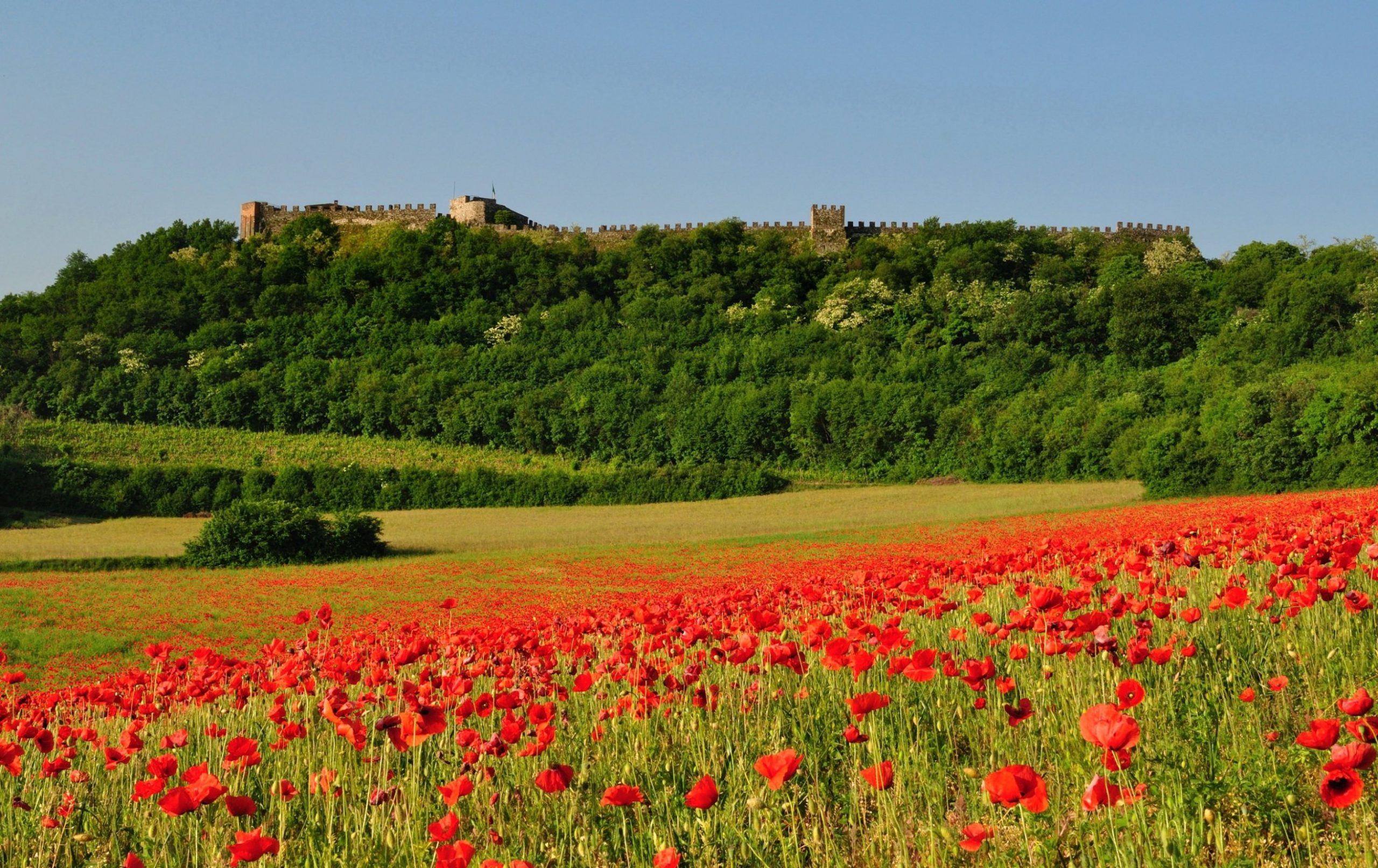 Passeggiata naturalistica tra flora e fauna della Fondazione Ugo Da Como