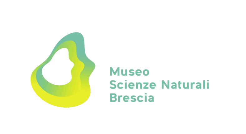 Nuovo sito Museo di Scienza/Un filo naturale